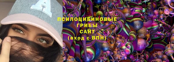МДПВ Алексин